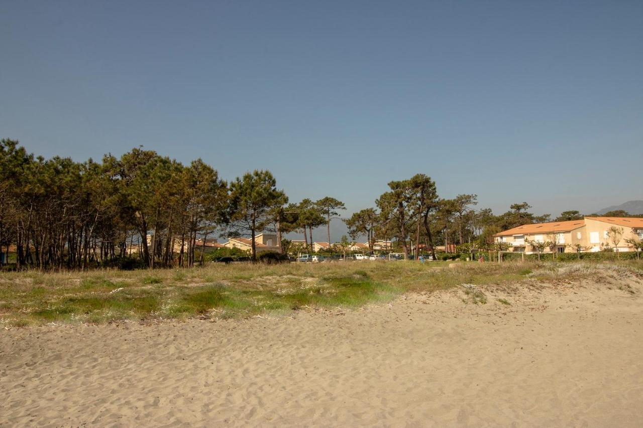 Appartement Maenat Borgo (Corsica) Exterior foto